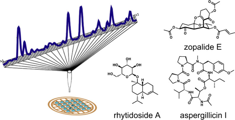 Graphical abstract for Microcrystal Electron Diffraction-Guided Discovery of Fungal Metabolites